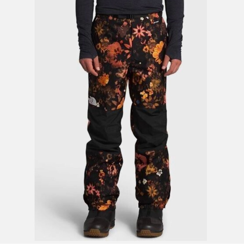 The north face men’s dryvent ski pants